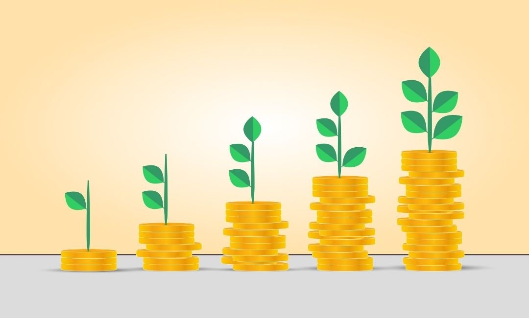 Interdisciplinary Study Model